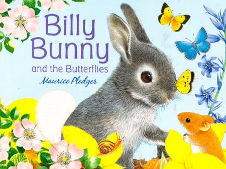 Billy Bunny And The Butterflies Online now