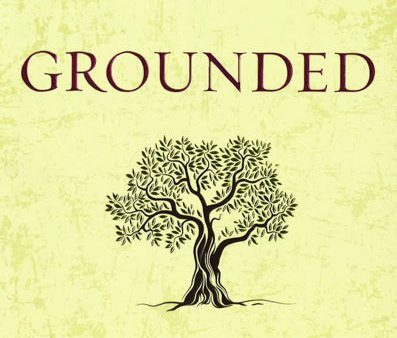 Grounded: Finding God In The World-A Spiritual Revolution Online